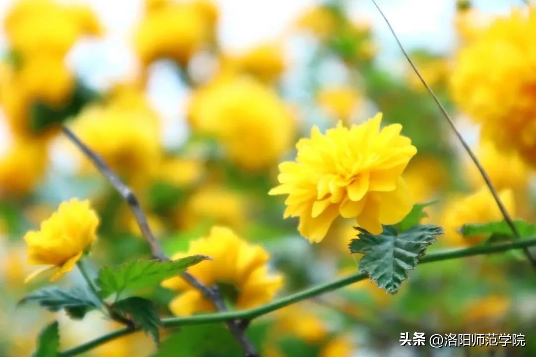 当洛师邂逅43种中国传统色……