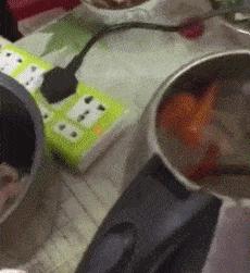 小鳄龟为啥养着养着就断尾了,以前不理解别人养宠物