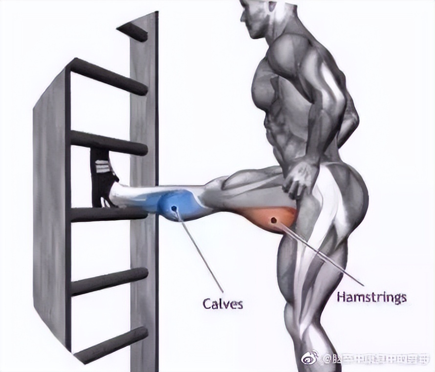 什么是中风偏瘫膝过伸,什么是偏瘫主动康复训练