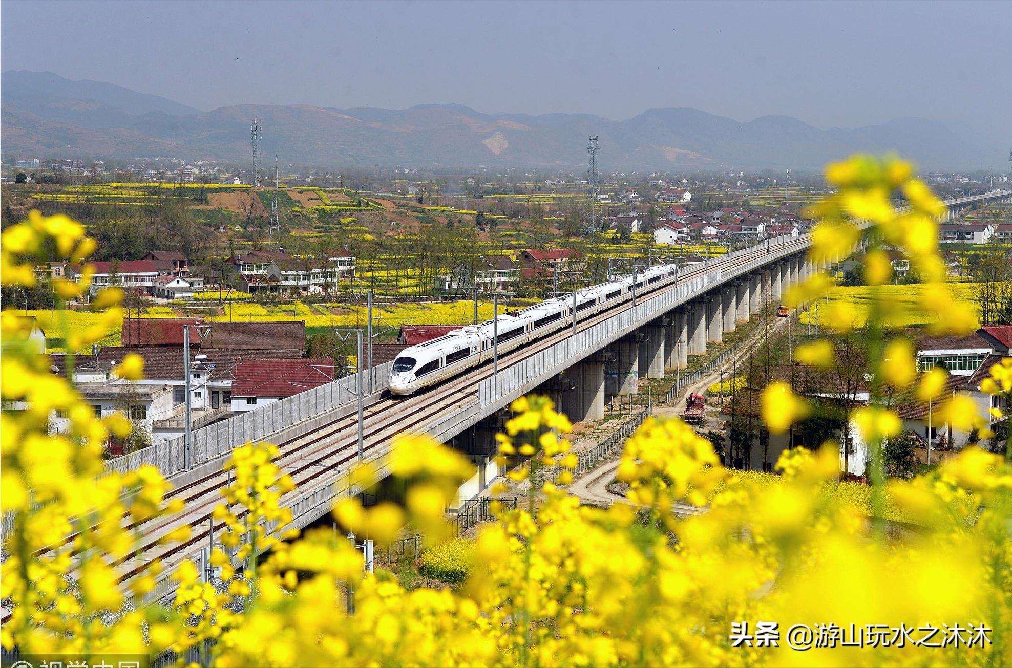 看油菜花的好地旅游攻略,看油菜花哪里最值得去