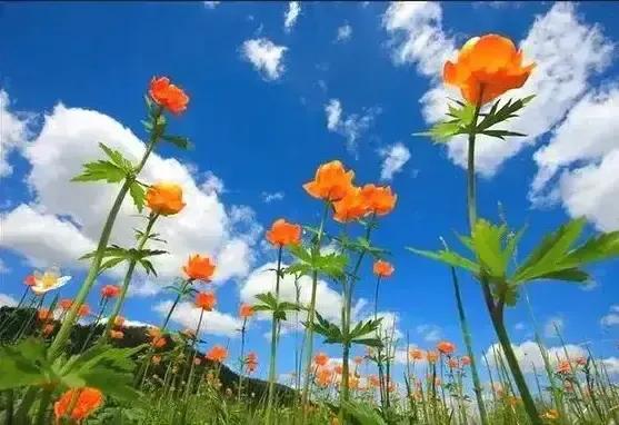 2023年02月27日星期一农历:癸卯年【兔年】二月初八八九第5天