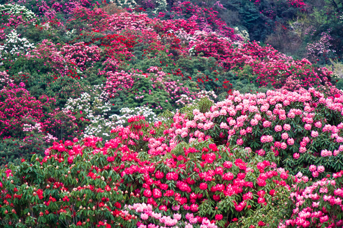 夏天自驾游最凉快的地方,旅游十大必去的地方中国夏天