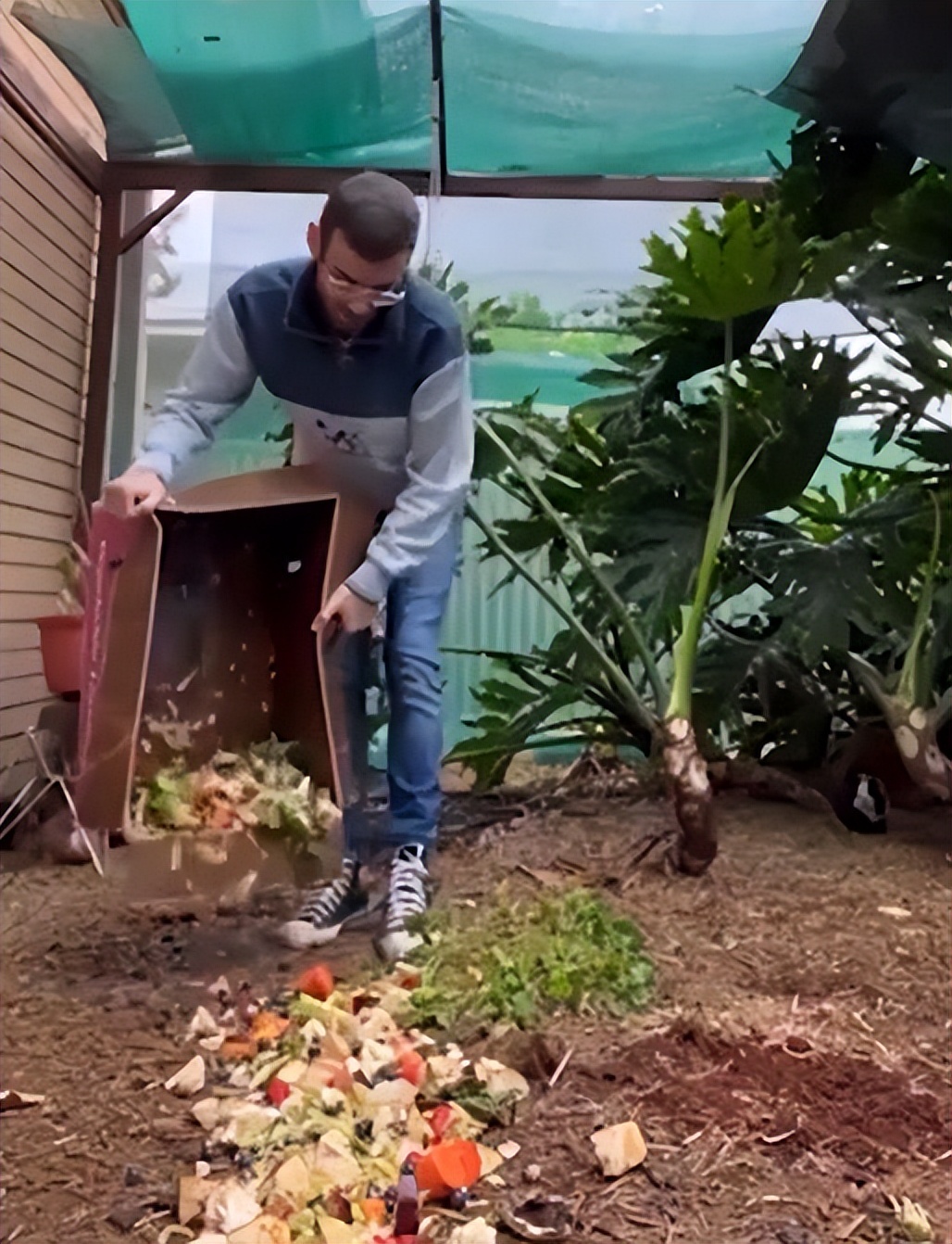 豚鼠被主人遗弃,前主人抛弃在出租屋里领养的猫咪