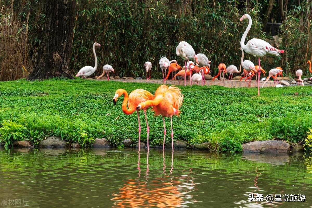 上海5a级景点排名榜名单公布,上海周边有山的5a景区