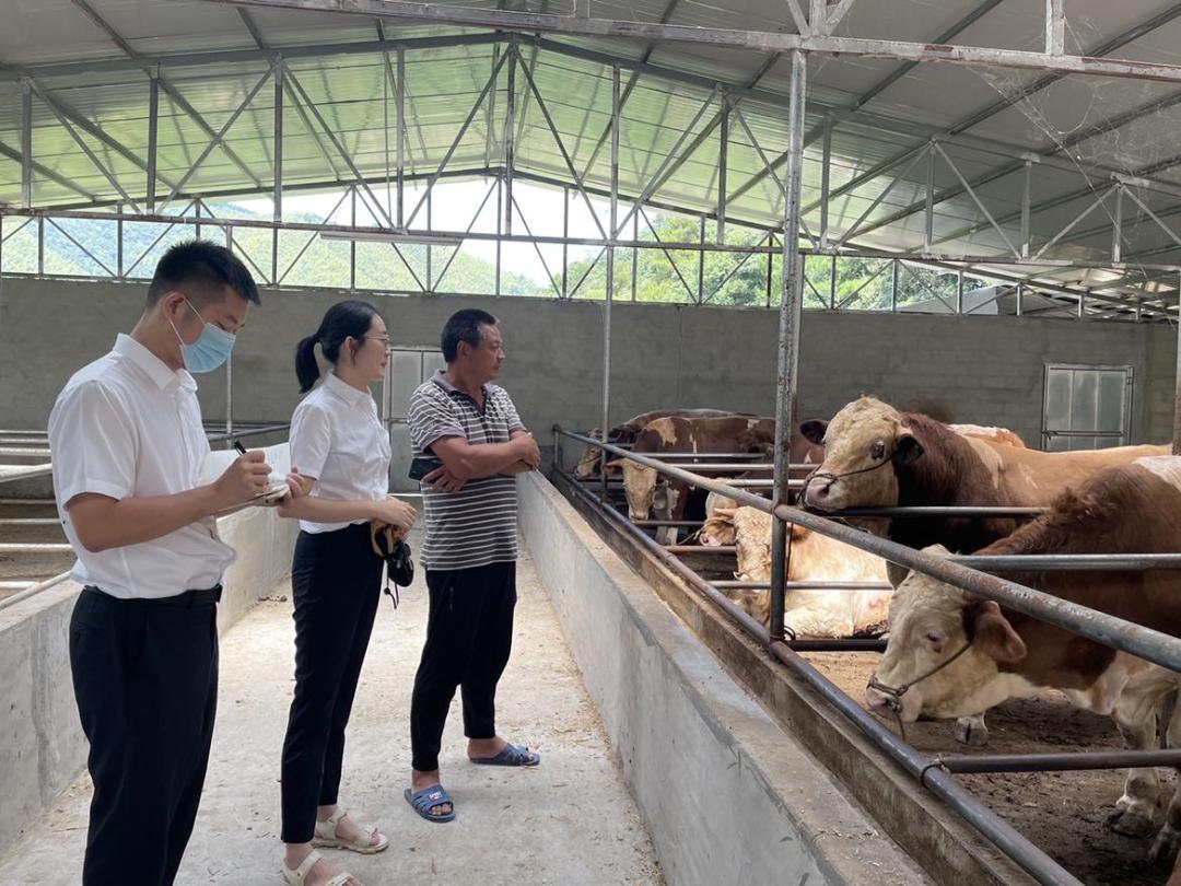 丽水创新金融中心效果图,丽水创新金融中心一期项目