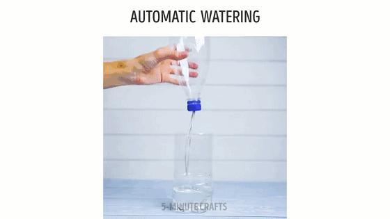 家庭阳台各种各样蔬菜种植视频,阳台种蔬菜需要加微生物有机肥吗