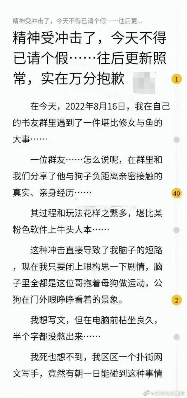 网文作者被爆马甲,网文作者搞笑事件