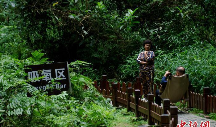 巴马长寿密码,来到巴马养生