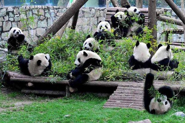 稻城亚丁跟团6日游,稻城亚丁旅游最佳路线6日游