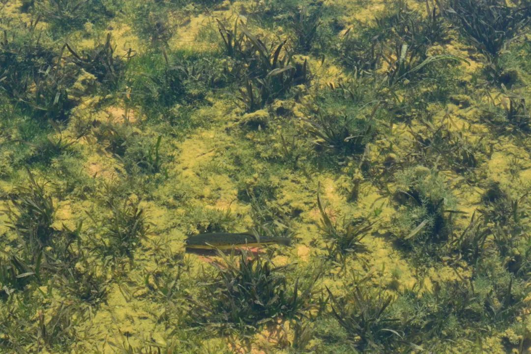 成都龙泉山水旅游攻略图,成都龙泉湖一日游最新详细攻略