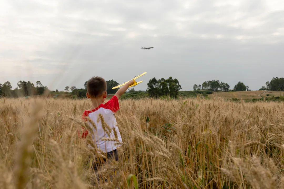 成都向上最新信息,年度向上力量合照
