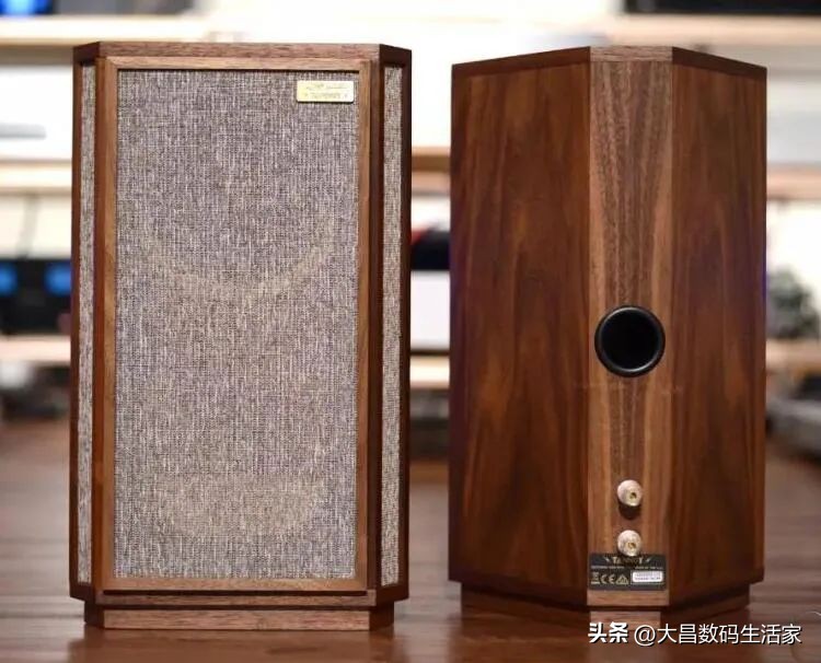 英国天朗caernarvon10寸同轴落地音箱,天朗mini-gr