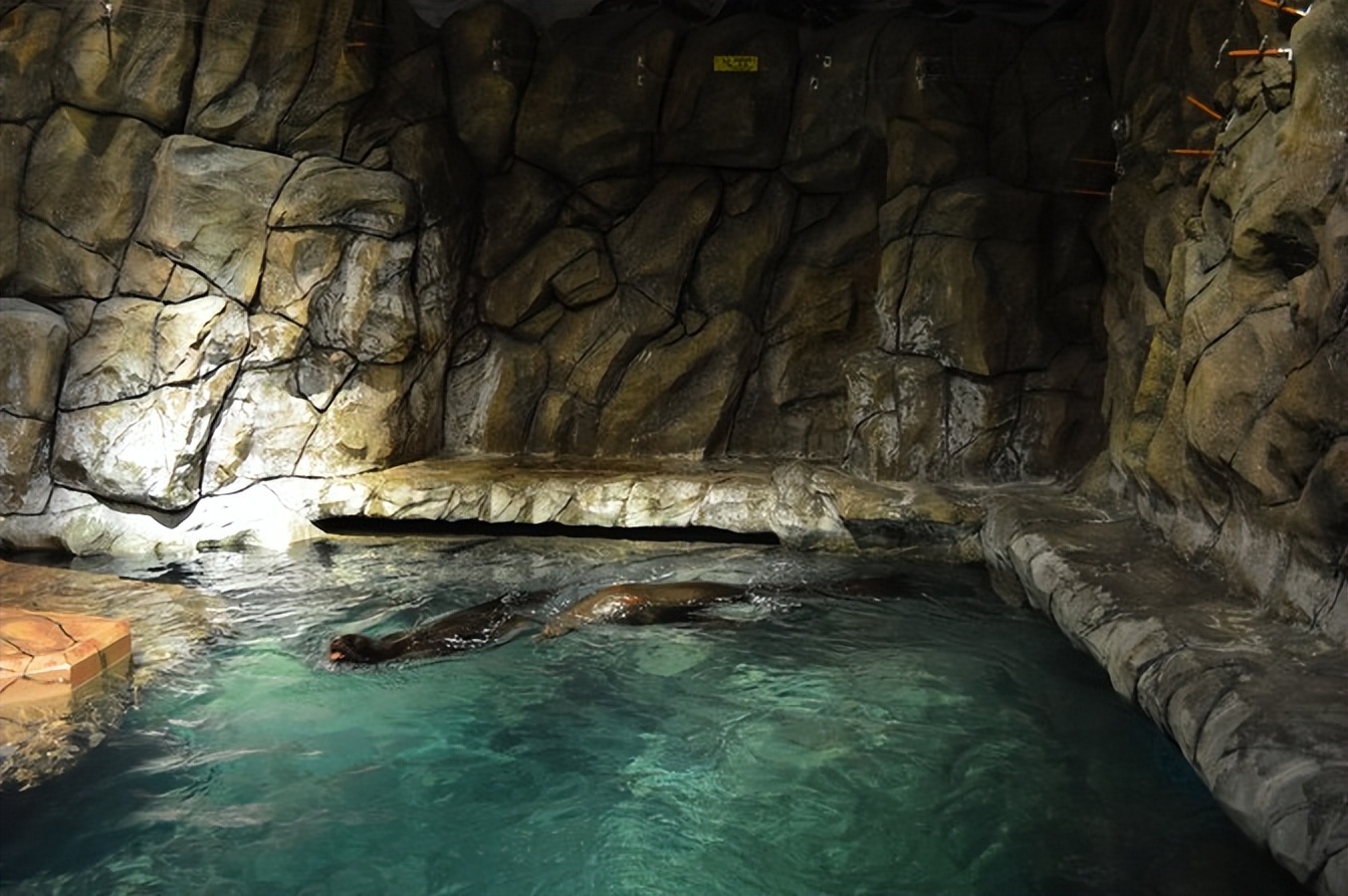 玩的就是心跳香港海洋公园,香港海洋公园经典