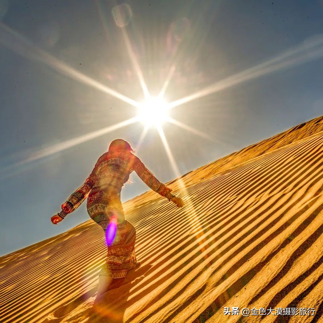 额济纳赏胡杨视频,赤峰额济纳赏胡杨