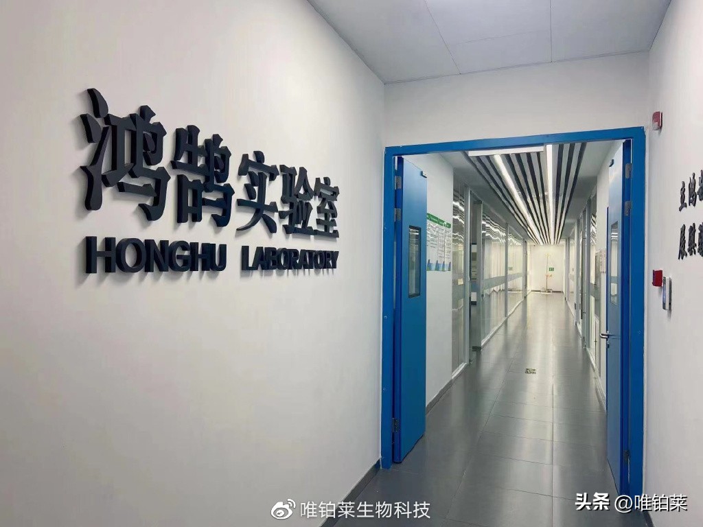 老树新芽能成材吗,老树能刻芽吗