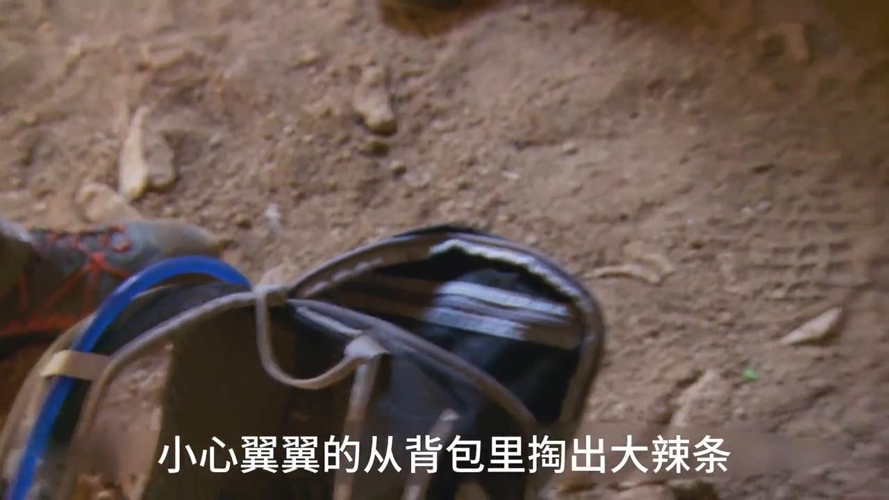 打野贝带着实习生来到了半岛，走漆黑洞穴迷宫，吃铁板叫花蛇