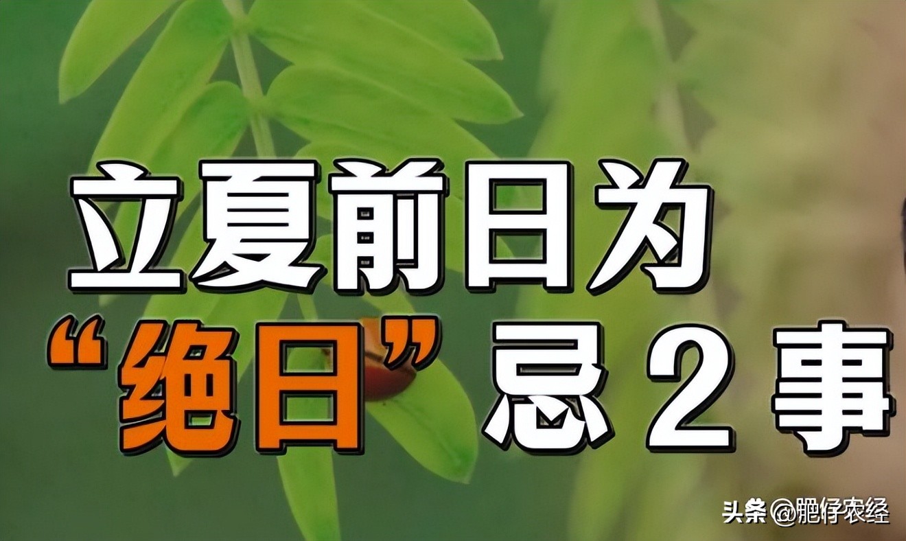 绝日有什么禁忌吗,绝日有什么禁忌