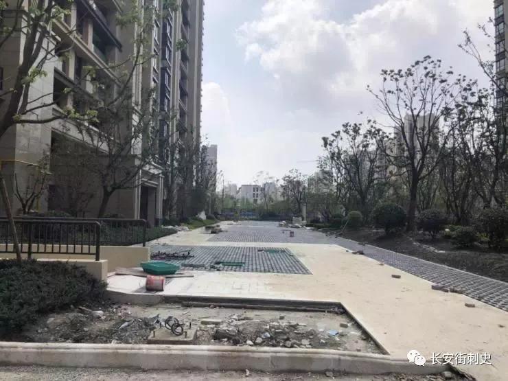 大华业主维权事件,大华维权事件