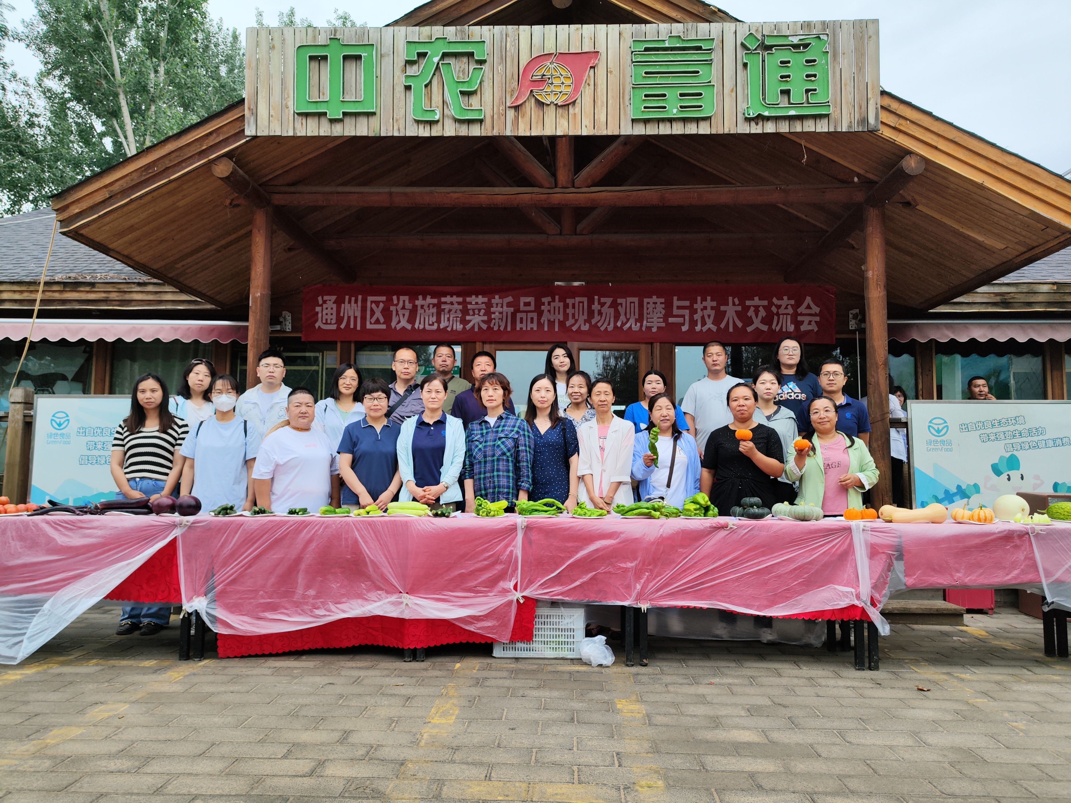 全市设施蔬菜产业链现场观摩,市农科所蔬菜新品种观摩会