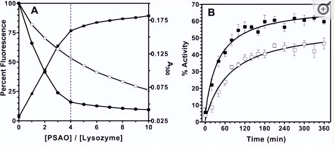 探究砷（III）物质在体外抑制氧化蛋白折叠应用
