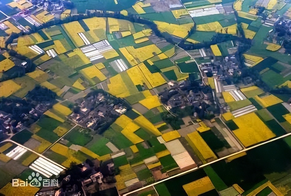 我住长江头君住长江尾什么意思,我住长江头君住长江尾类似的古诗