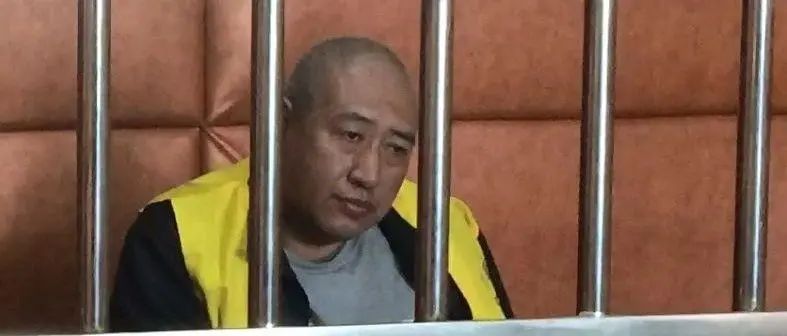 张译爆款剧,张译新剧首播好评如潮