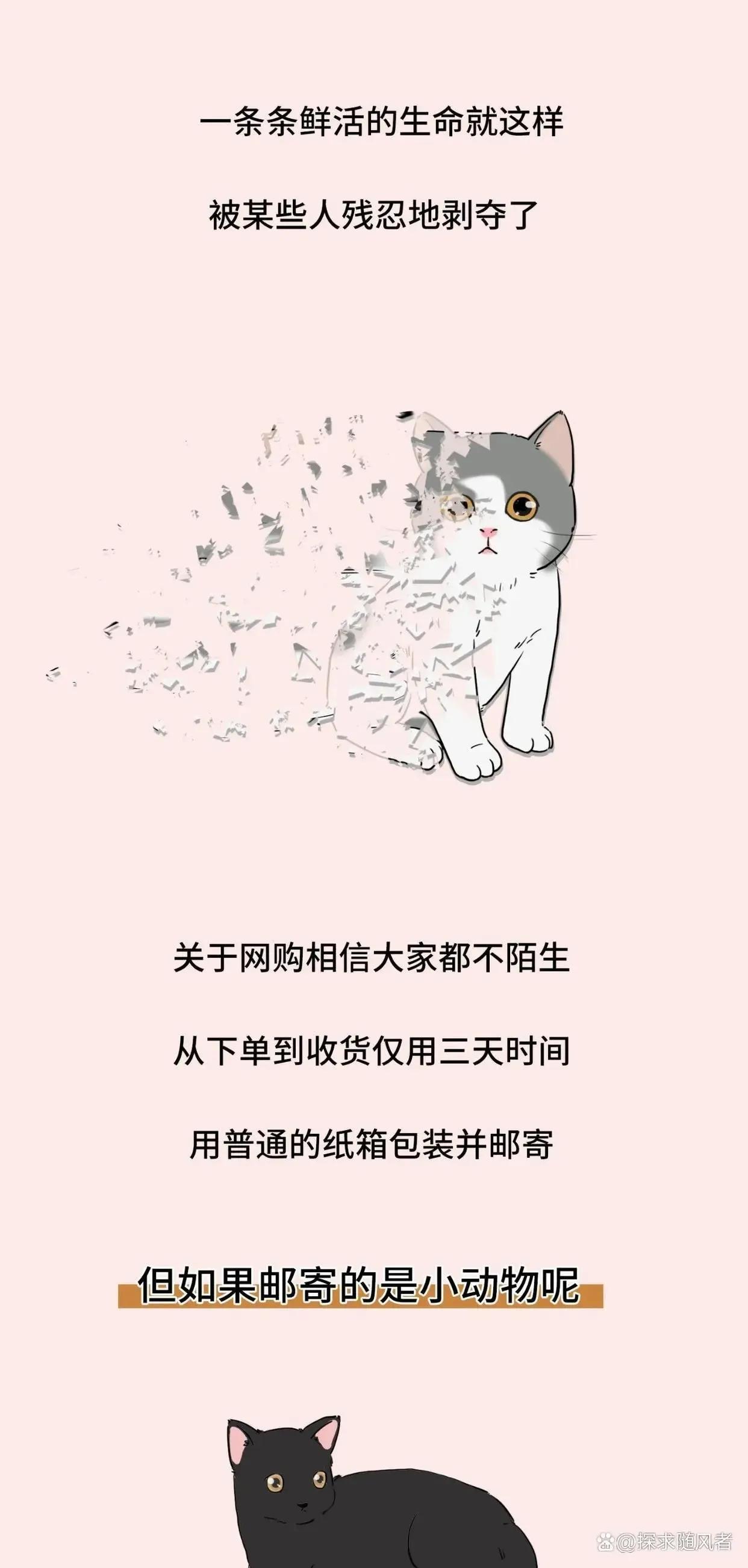 救救我我不想死日语,救救我漫画免费观看