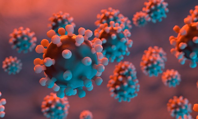 食物中含有的七大营养素图,食物中的六大营养素是什么