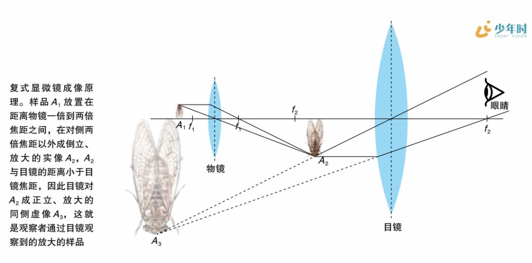 科幻片中立体虚拟投影,科幻片里的投影是如何形成的