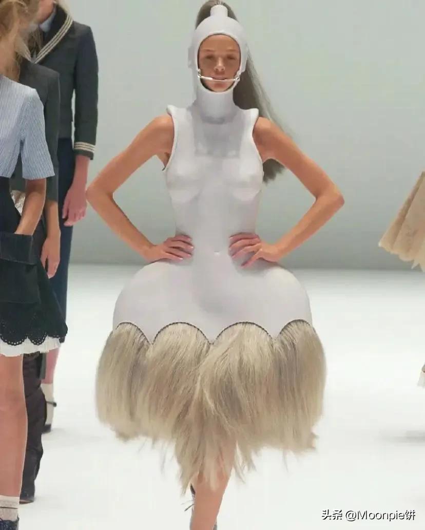 为什么胼胝体会缺失,schiaparelli水平