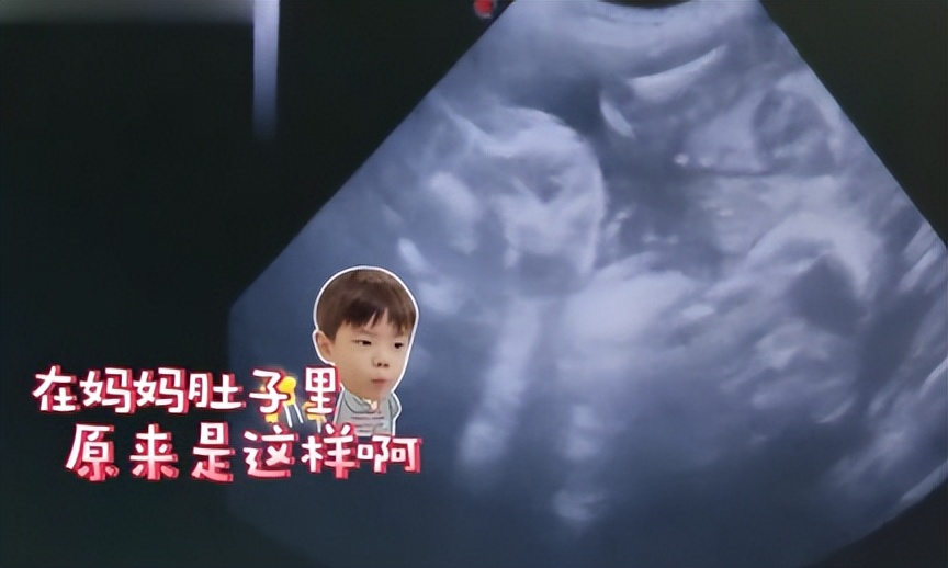 霍思燕豪门捞金,霍思燕富婆