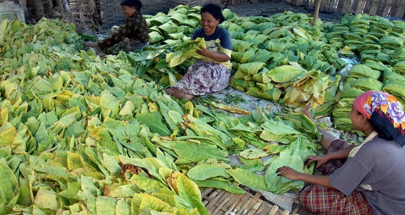 抽几块钱的烟和15块的烟有区别吗,10元的烟和100的烟哪个更伤身体