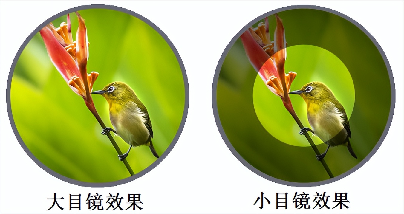 怎样选购家用望远镜,防水望远镜如何选购