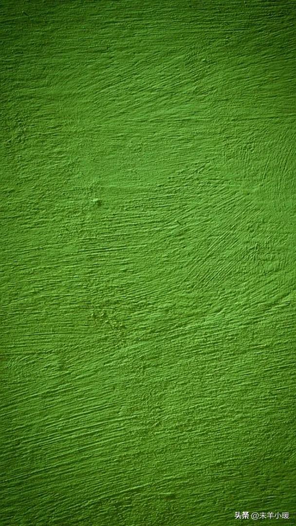 最美的手机壁纸大全,养眼养心的壁纸