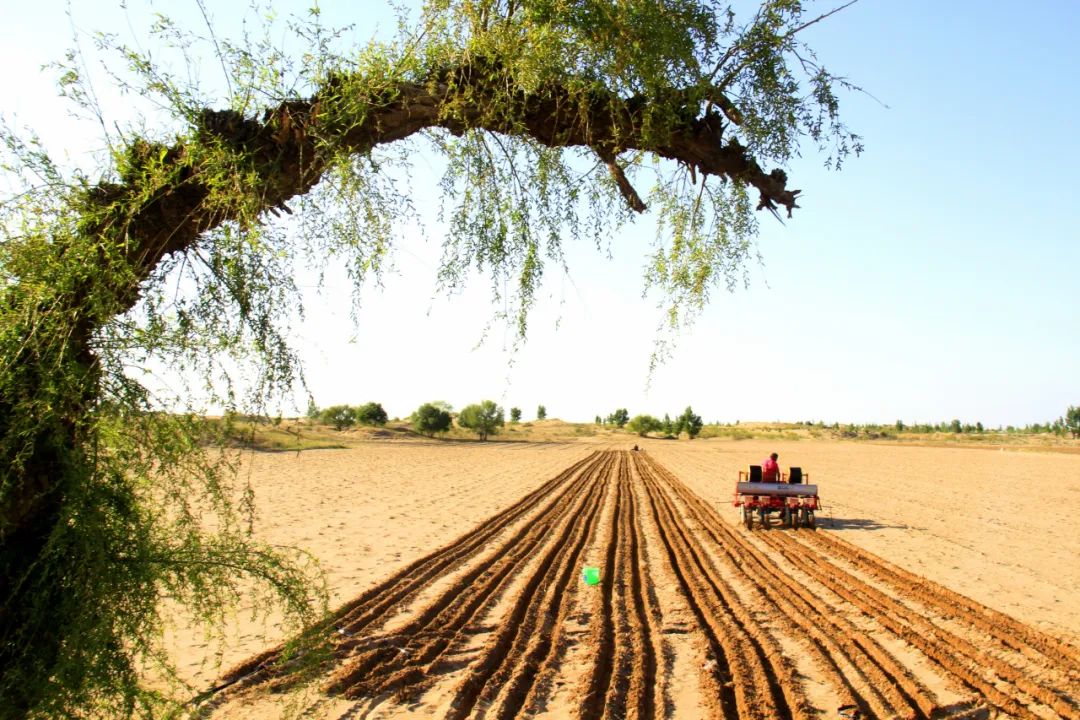 【旗县动态】奈曼旗、开鲁县、库伦旗