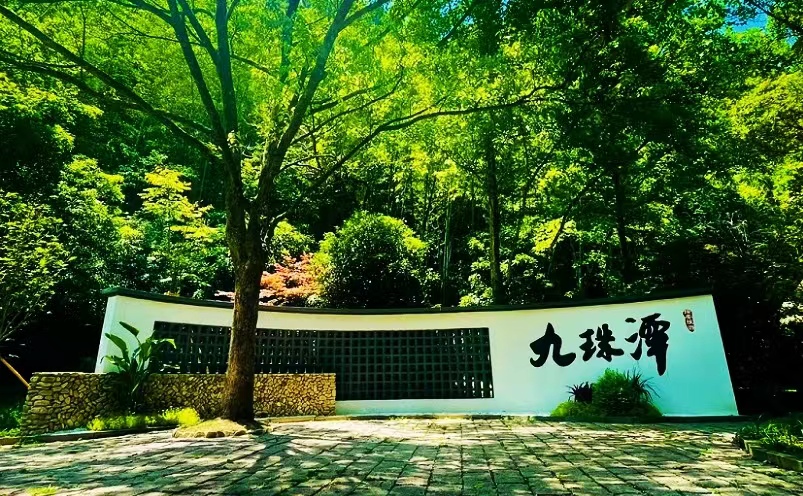 温州必玩的20个景点,温州旅游必去十大景点在哪里