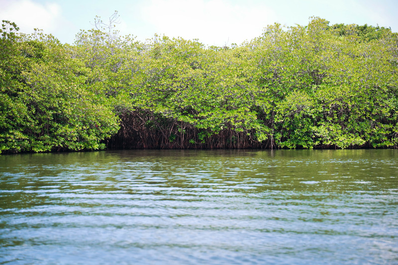 斯里兰卡旅游攻略必去景点,斯里兰卡旅游攻略最佳时间