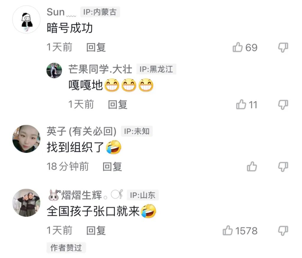 组织的接头暗号,暗号对上了是要走程序了吗