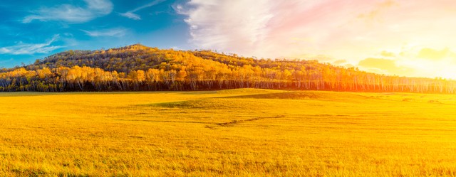 U20国足木塔力甫,u20国足木塔力普领角度破门