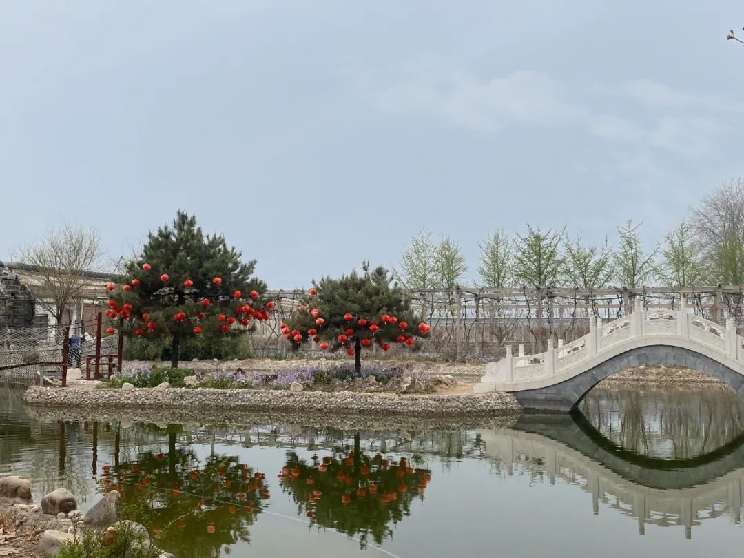 休闲农业与乡村旅游项目分析,休闲农业与乡村旅游什么时候开始