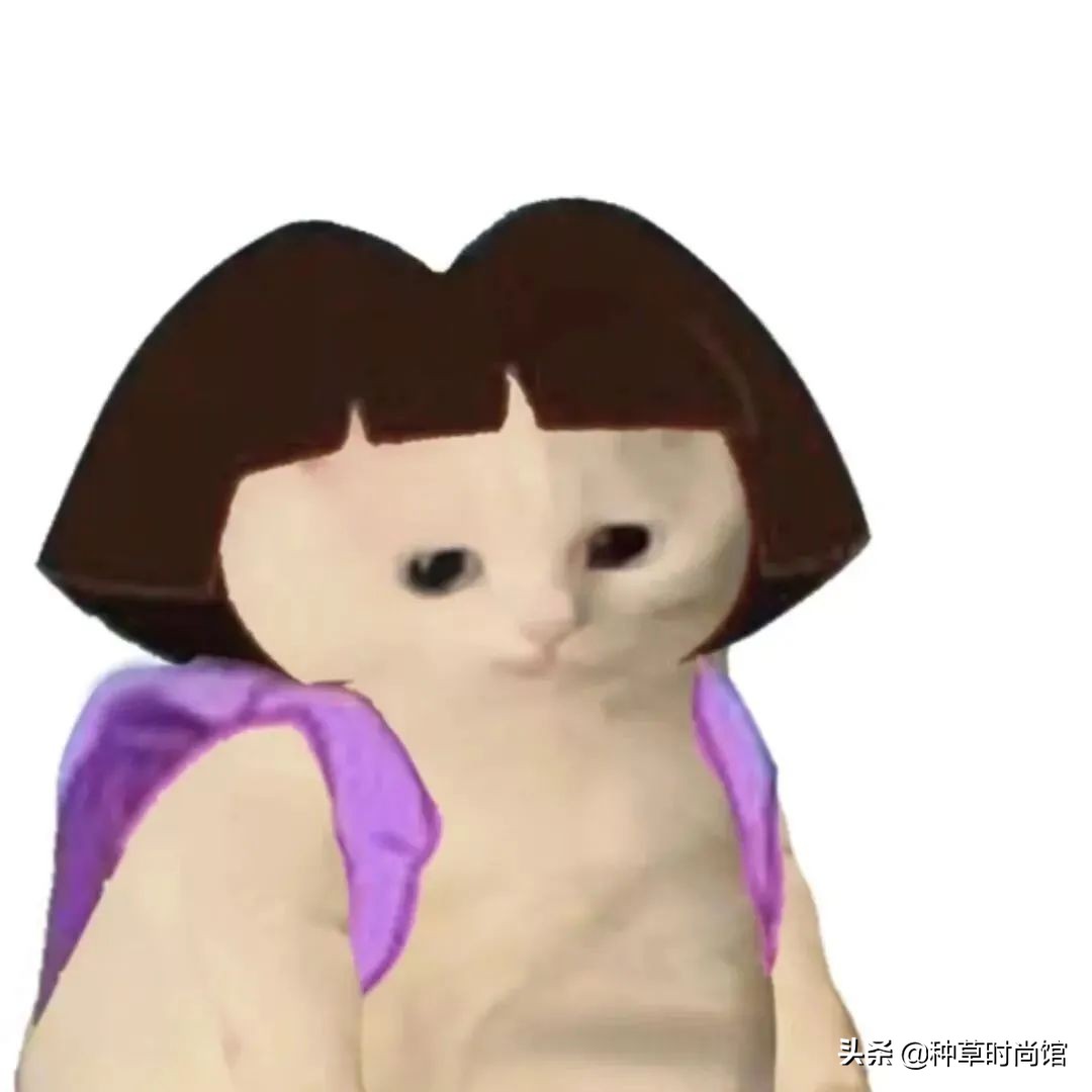 八字刘海怎么打理才不会显头秃,12岁圆脸头秃长发适合剪什么刘海