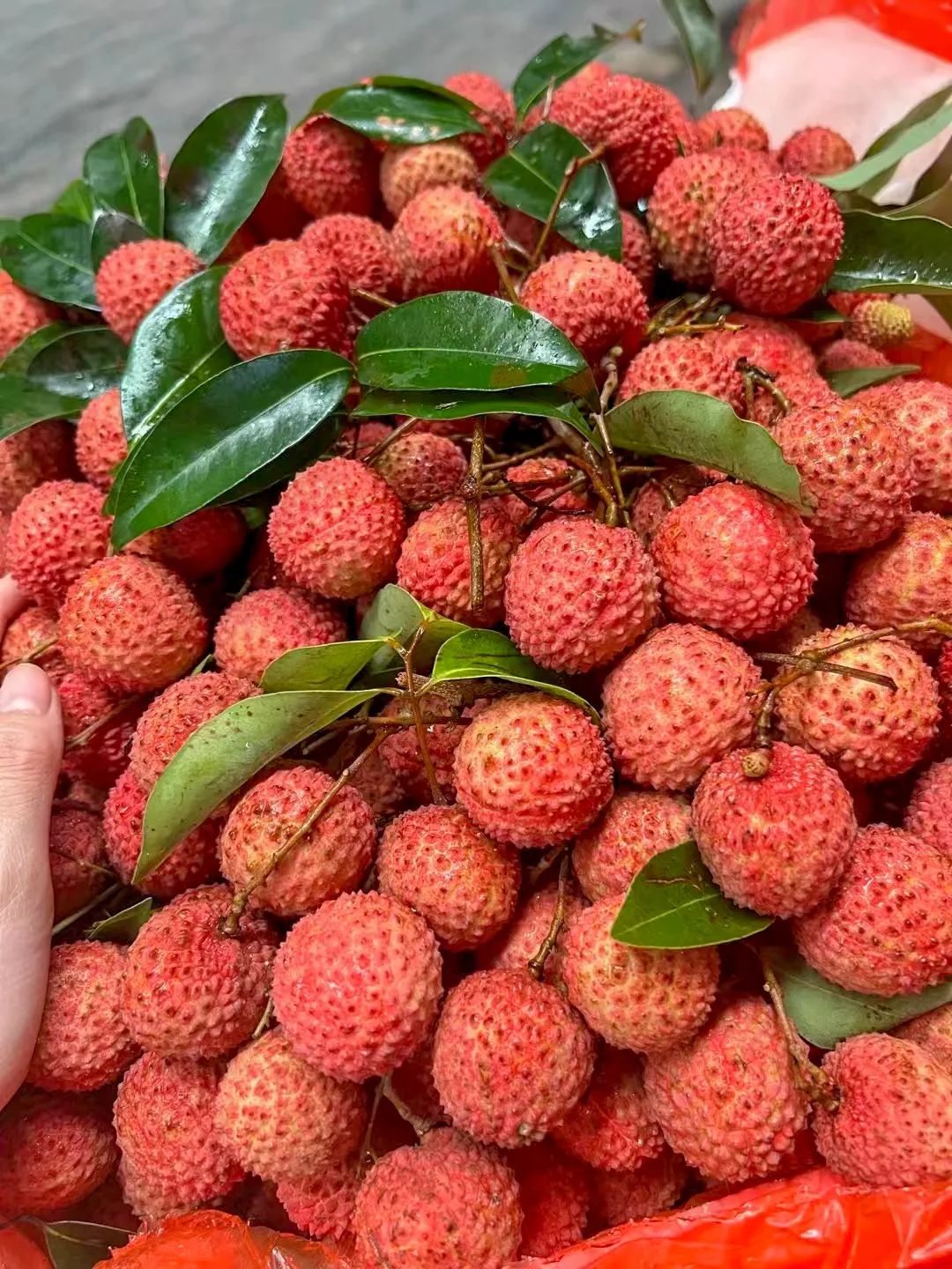 几月最适合吃什么水果,最适合七月吃的水果是什么