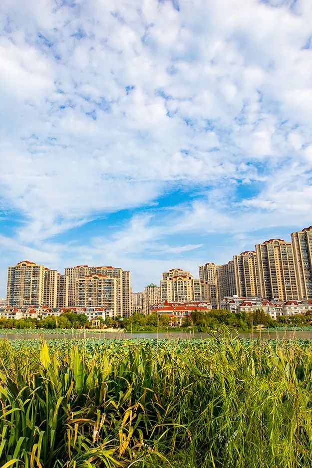 最近的泰兴,泰兴现在的样子