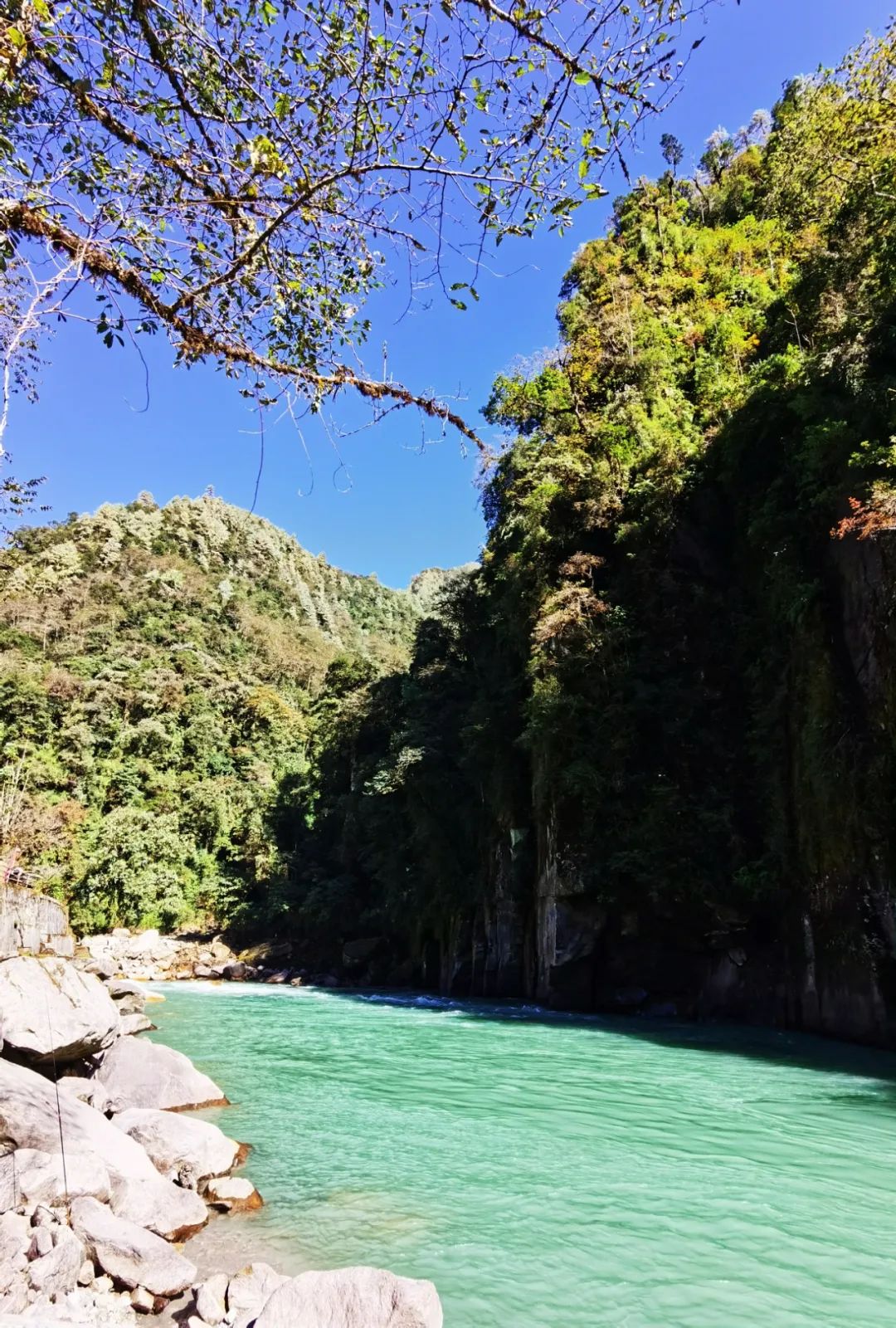 云南西双版纳跨省游最新通知,云南跨省游最新通知