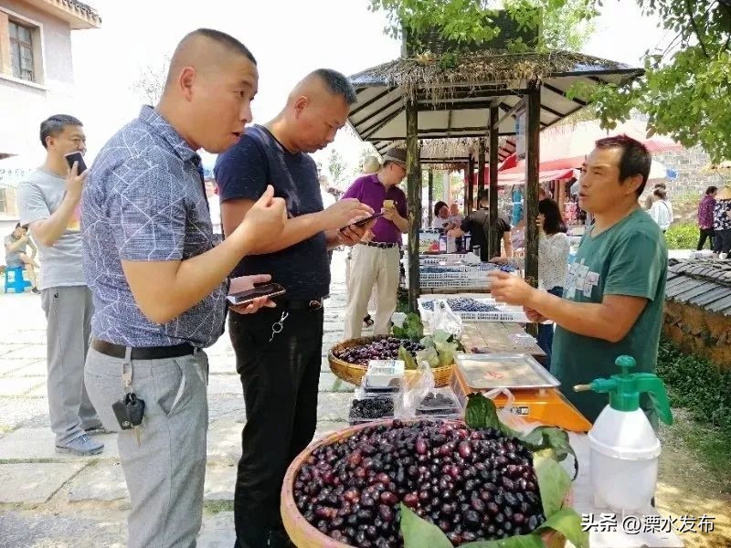 南京溧水最好的活动,南京溧水最新活动