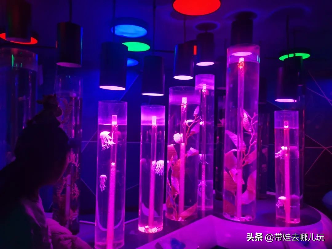 天津海昌极地海洋公园冬天营业吗,天津海昌极地海洋公园游玩攻略