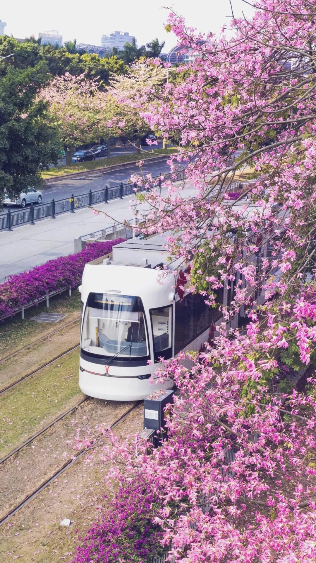 热爱广州的十大理由,推荐广州旅游的理由