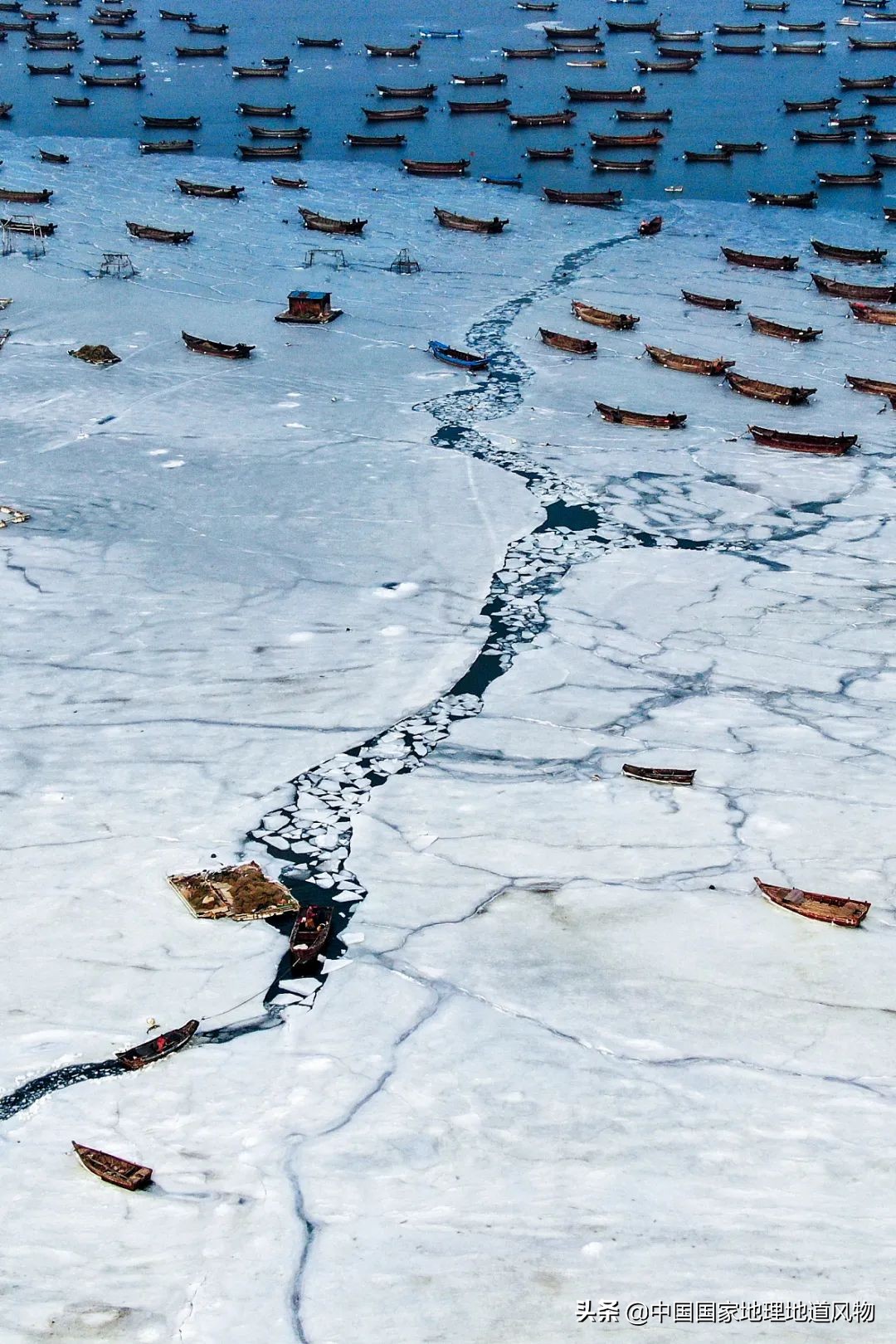 辽宁哪个地方的海鲜最好,辽宁各市都有啥海鲜