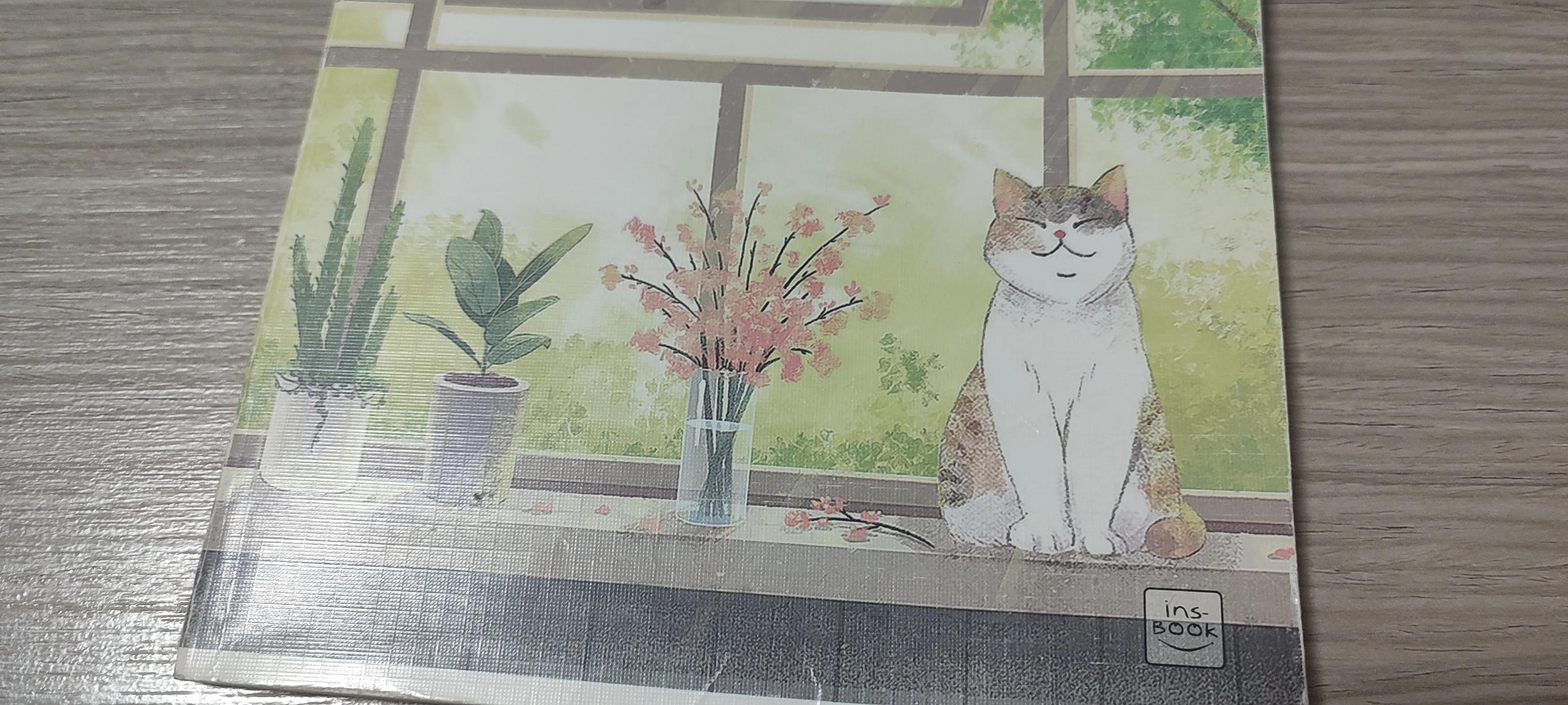 自己做拉拉队花球,自己做拉拉队牌子