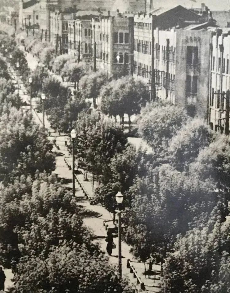 哈尔滨的故事纪录片,哈尔滨老街故事